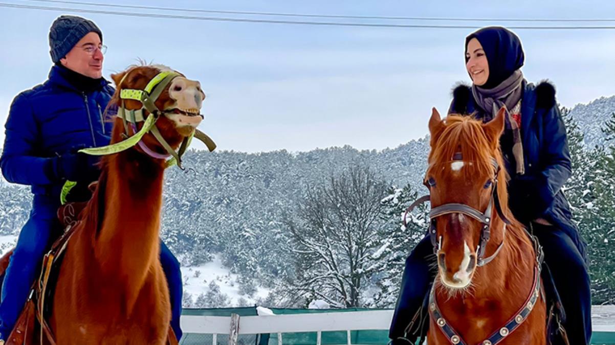 Ali Babacan at üstünde akaryakıt fiyatlarını eleştirdi, Aile Bakanı Yanık'tan yanıt gecikmedi